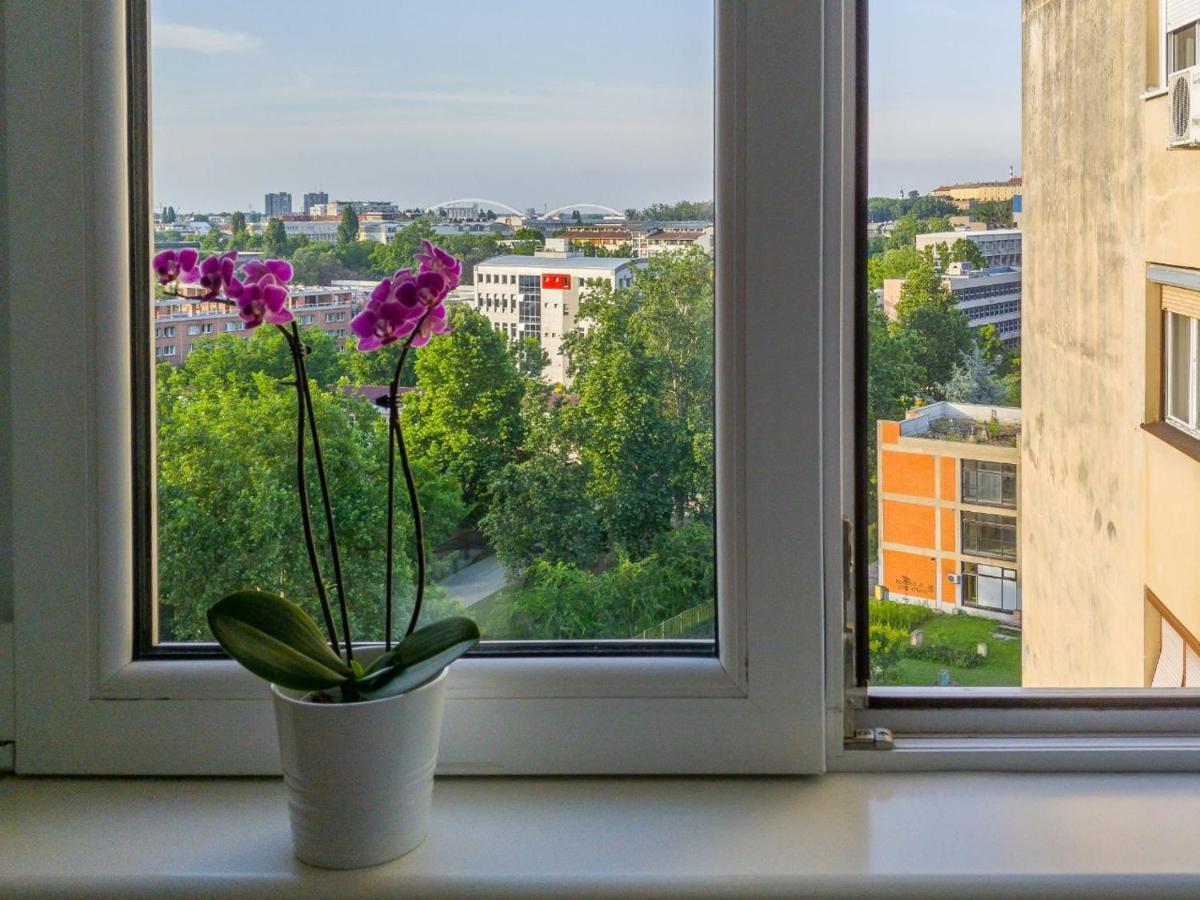 Sweet Home Danube Liman Apartment Novi Sad Eksteriør billede