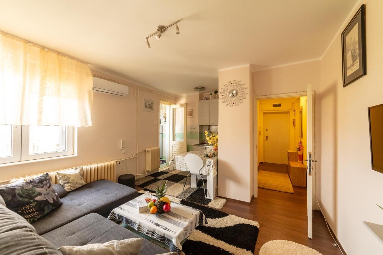 Sweet Home Danube Liman Apartment Novi Sad Eksteriør billede